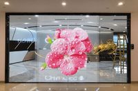 Ultra İnce Görünmez Hologram LED Şeffaf Ekran Yüksek Şeffaflıkta Kristal LED Film Ekran Mağaza Vitrini için Video Duvar