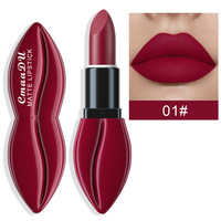Ensemble de rouge à lèvres liquide hydratant longue durée à la vitamine E, imperméable et anti-adhésif, rouge à lèvres personnalisé, marque privée