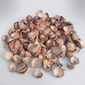 เปลือกมะพร้าวครึ่งซีกสีน้ำตาลธรรมชาติสำหรับงานฝีมือและการเกษตร - Product Image 2