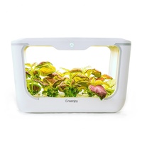 Tendances SOL 2022, idées cadeaux, décoration intérieure, pots de plantes intelligents créatifs, kit de culture hydroponique, jardin d'intérieur LED, matériau ABS, carton