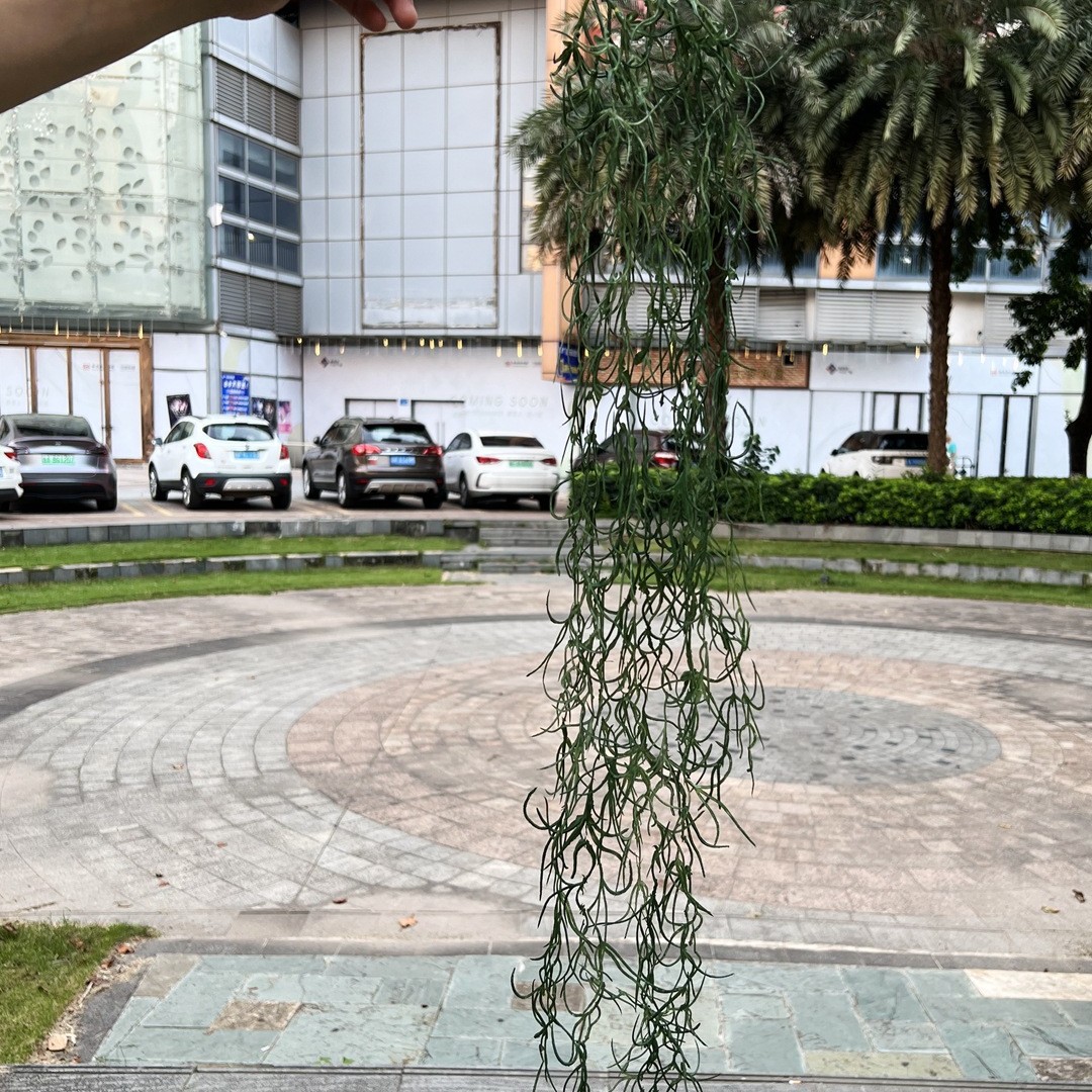 Air herbe suspendue vert foncé