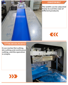 Tốc Độ Cao Tươi Chọn Gối Máy Đóng Gói Rau Tươi Và Trái Cây Xà lách Tươi Gà Máy Bao Bì - Product Image 5