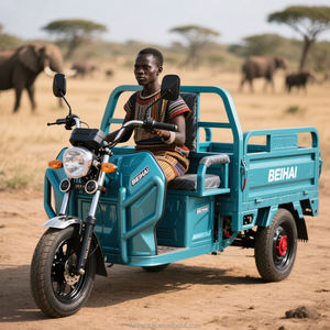 फार्म कार्गो ट्राइसाइकिल बड़ी बैटरी कार्गो परिवहन को जहाज करने के लिए तैयार - Product Image 3