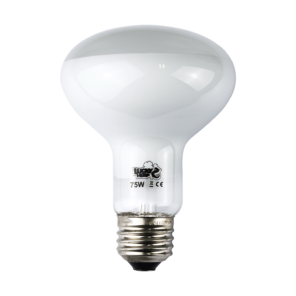 LuckyHerp JX-CF Classic Glass Halogen Daylight Basking Heat Lamp Bulbs for Reptile Pets