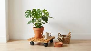 [BenK] Soporte para Plantas de Madera con Certificación FSC, Forma Cuadrada, con Ruedas Móviles, Sistema Wagner, Rodillo para Plantas, Clásico, Suave - Product Image 5