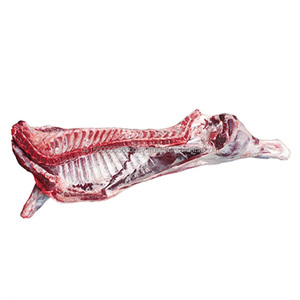 Halal Buffalo Carcass Fresh Frozen Buffalo Carcass - Product Image 6