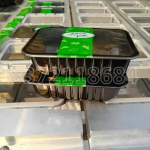 Machine de remplissage automatique linéaire pour aliments, emballage et scellage avec plateau, pour 900 ml, Tofu, saveur