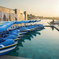 Bateau électrique Dolphin en fibre de verre durable, équipement de jeux aquatiques pour parc aquatique, pour 4 personnes