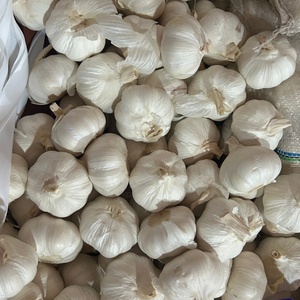 Vente en gros d'ail chinois de nouvelle saison 10kg boîte de prix normal fabricant d'ail blanc et blanc pur ail épluché ajo ail - Product Image 4