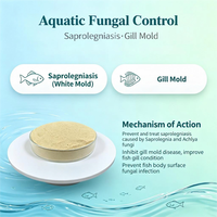 Agent antifongique, prévient la moisissure des aliments, inhibe les champignons pathogènes pour les aliments des poissons, de la volaille et des porcs, inhibiteur de moisissure des aliments
