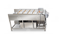 Commerciële Automatische Fruit-En Groenteborstel En Wasverwerkingsproductielijn