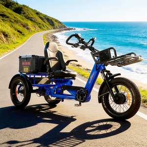 Triciclo Popular de 3 Ruedas con Pedales, 20 Pulgadas, para Adultos, Neumáticos Gruesos de Alta Resistencia, Frenos de Disco Hidráulicos, Cuadro de Aluminio, Gran Capacidad de Carga - Product Image 1