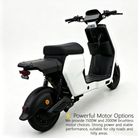 Promotion : Moto électrique cargo 48V/60V avec moteur brushless 1000W, double porte-bagages, pour livraison de repas et coursiers