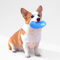Jouet à mâcher interactif pour chien, résistant à la morsure, rempli d'eau, durable, pour soulager la chaleur, en TPR, à congeler