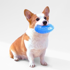 Jouet à mâcher interactif pour chien, résistant à la morsure, rempli d'eau, durable, pour soulager la chaleur, en TPR, à congeler - Product Image 4