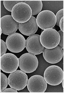 Microsphères fluorescentes résolues dans le temps de taille uniforme pour diagnostic in vitro – Microsphères TRF haute performance - Product Image 2