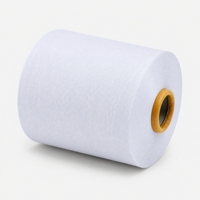 Durable High Tenacity Nylon Solid Color Yarn, Pre Dyed Colored Spun Yarn, Fade Resistant Polyamide Yarn for Hosiery