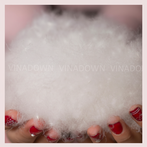 Duvet De Canard Blanc lavé 90/10, Pouvoir Gonflant 700 Du Vietnam - Product Image 1