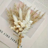 Buket Rumput Pampas Kering Mini Ukuran Khusus DIY Dekorasi Boho Kecil Hiasan Bunga Alami untuk Rumah Toko Hadiah
