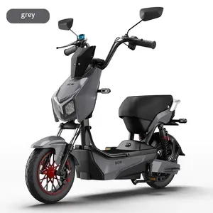 Classic Design Electric Bike Model Cheap E Battery Electric Motorcycle Popular New Electric Bike 48V Carbon Steel Open Taxi 125