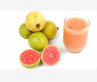 L'extracteur industriel de jus de mangue faisant la machine a utilisé la chaîne de production complète de jus de mangue pour le jus de goyave d'orange de passion