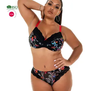 OEM Custom ized Print Mesh Damen Hochwertige BHs Plus Size Damen Large Big Plus Size BH & Brief Sets