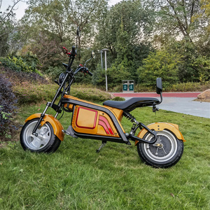 2023 Hot EW ALE EW Heap ully nncerrado ononvertible ARGE Pace dudult dulectric ricricycles - Product Image 6