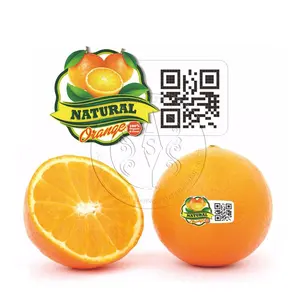 Stiker Label buah, oranye kualitas tinggi Label kemasan 3D suplai pabrik OEM