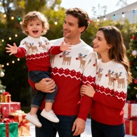 Pull de Noël personnalisé OEM d'usine pour enfants et adultes, tenues assorties parent-enfant, pull jacquard à motif de dessin animé