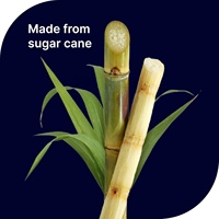 Échantillons Gratuits Pailles à Boire Compostables en Canne à Sucre de 8 Pouces, Adaptées aux Boissons Chaudes et Froides
