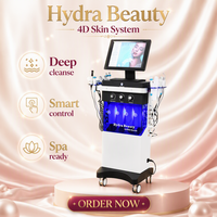 Appareil de Dermabrasion Hydra 14-en-1 à Écran Tactile, 14 Poignées pour Usage Commercial, Compatibilité Multi-Prises (US/IT/EU/UK) pour la Peau
