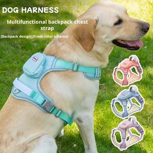 2025 meilleure vente chaude <span class=keywords><strong>harnais</strong></span> <span class=keywords><strong>pour</strong></span> chien réglable et collier de laisse avec matière première de qualité supérieure en plein air <span class=keywords><strong>pour</strong></span> chiens et animaux de compagnie - Product Image 5