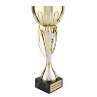 Prix de la compétition d'arts martiaux de volleyball bowling boxe avec plaque gravée et trophée de finition Premium