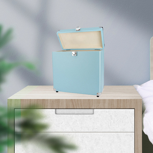 Scatola da trasporto per valigetta in pelle con custodia in vinile LP - Product Image 2