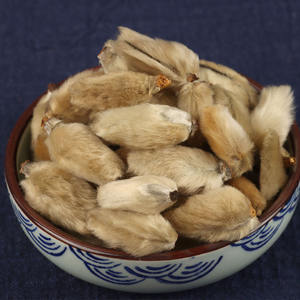 Venta al por mayor Xin Yi Hua Materiales Medicinales chinos de alta calidad variedad <span class=keywords><strong>Mulan</strong></span> Magnolia completa - Product Image 5