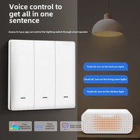 Interrupteur intelligent B1 pour Zigbee avec écran tactile 10A 1/2/3 voies, durable et facile à installer