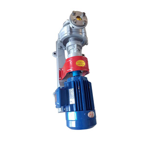 Suministro de Bombas de Engranajes a Prueba de Explosiones de Acero Inoxidable 304 con Motores para Equipos de Transporte Químico, Bomba de Aceite para Engranajes - Product Image 5
