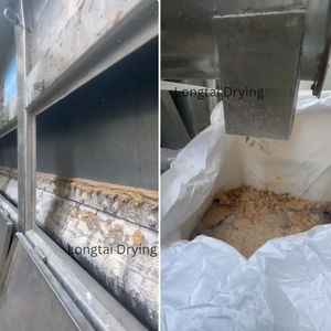 Secador de tambor Longtai, unidad de escamas de pigmento y catalizador de doble cilindro MVR para solución concentrada <span class=keywords><strong>HG800</strong></span>, procesamiento de alimentos - Product Image 6