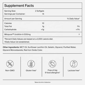 แคปซูลยูโรลิธิน เอ (OEM/ODM) ผ่านการทดสอบทางคลินิกแล้ว ยูโรลิธิน เอบริสุทธิ์สูงเพื่อสุขภาพการใช้ชีวิตช่วงสูงวัยและเสริมพลังงาน - Product Image 2