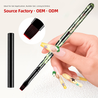 Ensemble professionnel de luxe 10 pièces pour nail art, manche en bois, poils en nylon ondulés, pour peinture au gel, liner, ombrage et extension