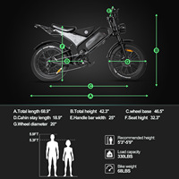 Bicicleta Eléctrica Retro de Acero al Carbono, 20 Pulgadas, 4 Neumáticos Anchos, Todoterreno, 48V, Motor de Buje Trasero Integrado sin Escobillas de Alta Potencia con Asistencia de 60 km