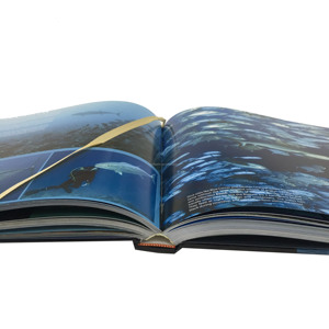 Tùy chỉnh bán buôn OEM giá rẻ đầy đủ màu sắc chất lượng cao dịch vụ tại Trung Quốc giấy nghệ thuật lớn bù đắp bìa cứng ảnh in ấn cuốn sách - Product Image 2