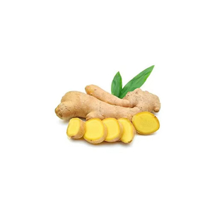 Jengibre Fresco con Jengibre Joven de Cultivo Orgánico Puro, Empaque Personalizado Disponible, Jengibre en Venta por Exportadores - Product Image 6
