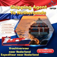 Agente de Transporte Marítimo en Holanda, Transporte Marítimo desde el Aeropuerto Internacional Ninoy Aquino, Transitario de Carga Marítima, Empresa de Transporte Puerta a Puerta