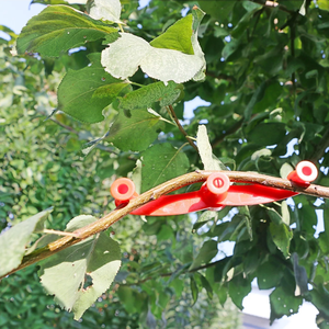 Podadora de ramas DaringFish con ángulo ajustable, herramienta de jardinería reutilizable para dar forma a árboles <span class=keywords><strong>frutales</strong></span> y bonsáis - Product Image 4