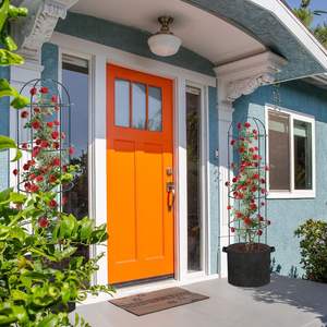 Support de plante grimpante en acier pour jardin extérieur, 100% métal, pour clematis, vigne, <span class=keywords><strong>jasmin</strong></span>, vente en gros d'usine - Product Image 6