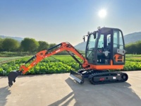 Mini-excavatrice HERESTRONG de 2 tonnes pour travaux agricoles, excavatrice sur chenilles, certifiée CE, livraison gratuite avec pompe à moteur PLC