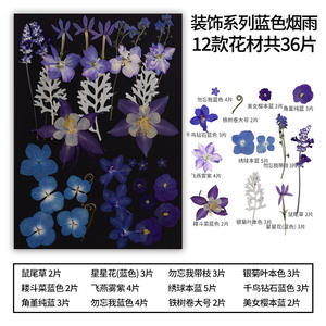 22-36 piezas/paquete flor prensada Asst. Bolsa para MARCO <span class=keywords><strong>DE</strong></span> ARTE Decoración del hogar Vela <span class=keywords><strong>de</strong></span> Arte <span class=keywords><strong>de</strong></span> resina - Product Image 5