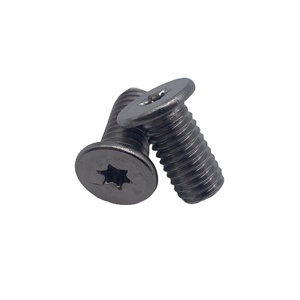 Customized Stainless Steel Metric <b>Flat</b> Countersunk Head Hex Socket Plum Torx Fully Thread Bolt - Product Image 1