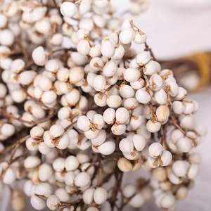 Venta Caliente de Frutos <span class=keywords><strong>Secos</strong></span> Naturales Preservados del Árbol de Sebo, Planta Decorativa, Ramo de Flores, Excoecaria Sebifera, Día de San Valentín - Product Image 1